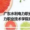 廣東水利電力職業技術學院青年志愿者隊（關于廣東水利電力職業技術學院青年志愿者隊介紹）