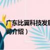 廣東比翼科技發展有限公司（關于廣東比翼科技發展有限公司介紹）