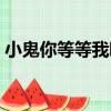 小鬼你等等我啊（關于小鬼你等等我啊簡介）