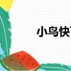 小鳥快飛（關于小鳥快飛簡介）