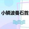 小鱗波曼石首魚（關于小鱗波曼石首魚簡介）