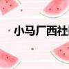小馬廠西社區（關于小馬廠西社區簡介）