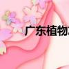 廣東植物志（關于廣東植物志介紹）