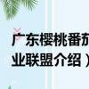 廣東櫻桃番茄產業聯盟（關于廣東櫻桃番茄產業聯盟介紹）