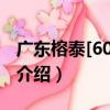 廣東榕泰[600589]（關于廣東榕泰[600589]介紹）