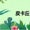 皮卡丘公仔圖片（皮卡丘公仔）