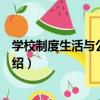 學校制度生活與公民教育（關于學校制度生活與公民教育介紹）
