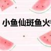 小魚仙斑魚火鍋（關于小魚仙斑魚火鍋簡介）
