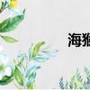 海猴子和禁婆（海猴子）