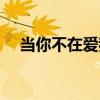 當你不在愛我（關于當你不在愛我介紹）