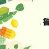 魯迅珍愛時間的名言