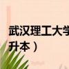 武漢理工大學專升本一覽表（武漢理工大學專升本）