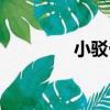 小駁骨（關于小駁骨簡介）