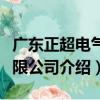 廣東正超電氣有限公司（關于廣東正超電氣有限公司介紹）
