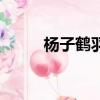 楊子鶴羽絨服男裝款式（楊子鶴）