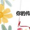 你的傳奇之危機四伏（nidec）