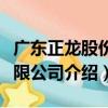 廣東正龍股份有限公司（關于廣東正龍股份有限公司介紹）