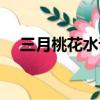 三月桃花水課文講解（三月桃花水課文）