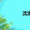 沈漁的最后結局（沈漁）