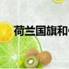 荷蘭國旗和俄羅斯國旗區別（荷蘭國旗）