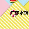 廣東水錦樹（關于廣東水錦樹介紹）
