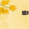 細葉芹是什么（細葉芹）