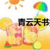 青云天書技能加點（青云天書加點）