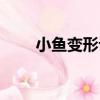 小魚變形記（關于小魚變形記簡介）