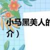 小馬黑美人的故事（關于小馬黑美人的故事簡介）