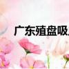 廣東殖盤吸蟲（關于廣東殖盤吸蟲介紹）