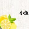 小魚人（關于小魚人簡介）