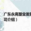 廣東永高塑業發展有限公司（關于廣東永高塑業發展有限公司介紹）