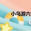 小鳥游六花（關于小鳥游六花簡介）
