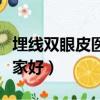 埋線雙眼皮醫院怎么選擇（埋線雙眼皮醫院哪家好）