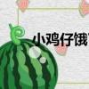 小雞仔餓了（關于小雞仔餓了簡介）