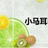 小馬耳山（關于小馬耳山簡介）