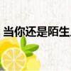 當你還是陌生人（關于當你還是陌生人介紹）