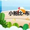 小鮑比·布朗（關于小鮑比·布朗簡介）