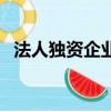 法人獨資企業是什么性質（法人獨資企業）
