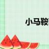 小馬鞍菌（關于小馬鞍菌簡介）