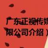 廣東正視傳媒有限公司（關于廣東正視傳媒有限公司介紹）