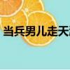 當兵男兒走天涯（關于當兵男兒走天涯介紹）