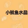 小魷魚水晶餃（關于小魷魚水晶餃簡介）