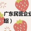 廣東民營企業商會（關于廣東民營企業商會介紹）