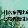 什么東西比烏鴉更討厭答案是什么（什么東西比烏鴉更討厭）
