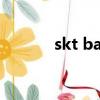 skt bang黑歷史（skt bang）