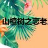 山楂樹之戀老三父親（山楂樹之戀老三原型）