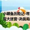 小鯉魚歷險記-尋寶大迷宮-決戰龍門（關于小鯉魚歷險記-尋寶大迷宮-決戰龍門簡介）