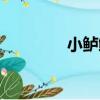 小鱸鯉（關于小鱸鯉簡介）