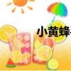 小黃蜂手機價格（小黃蜂手機）